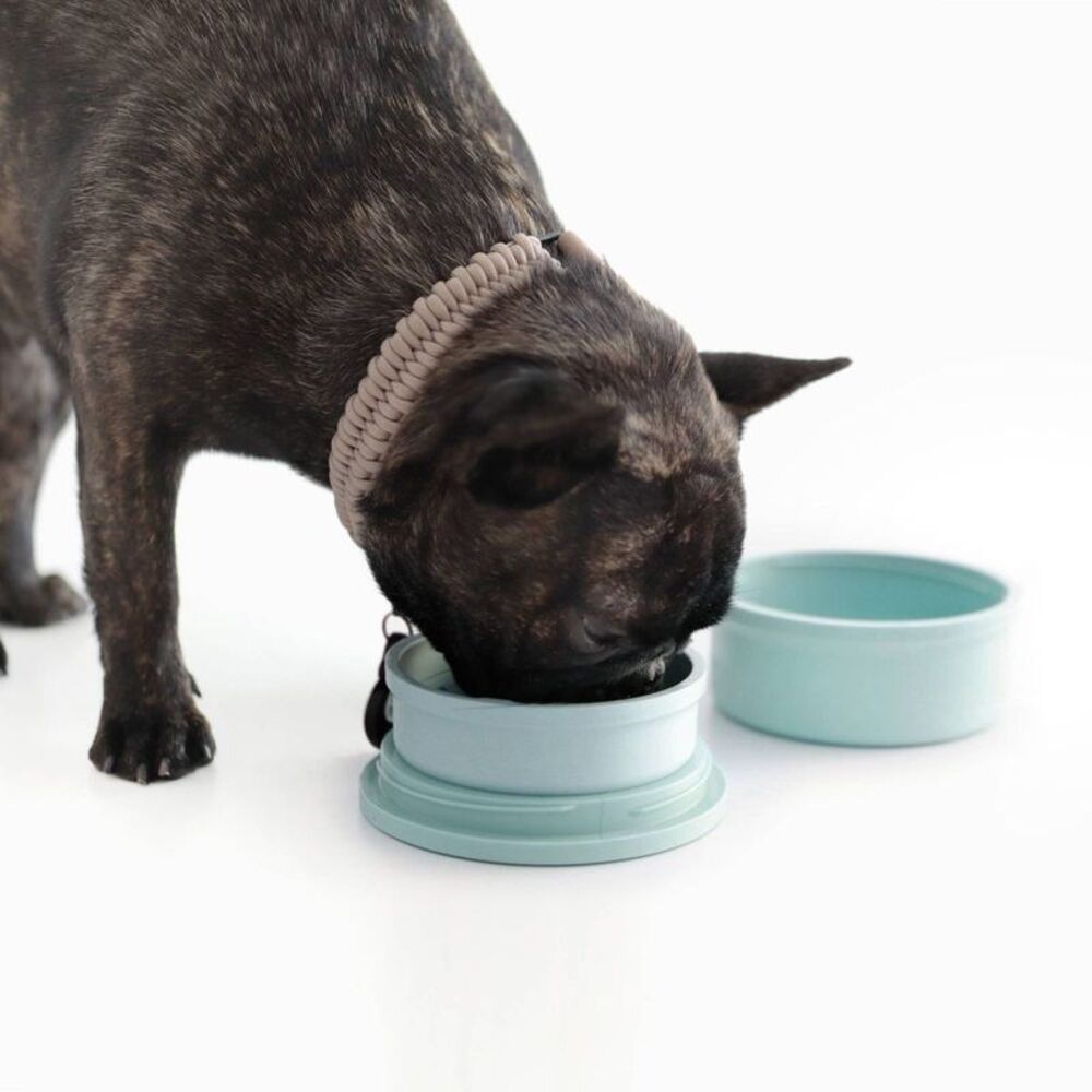 KindTail -  20 fl oz Portable 2pc Dog Bowl Set - S -  Spruce - Picture 5 of 7